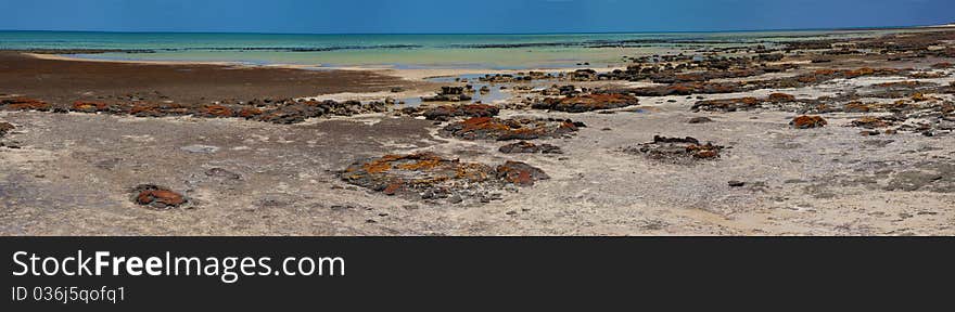 Panoramic of Stromatolites taken in Hamlin Pool, Western Australia. Panoramic of Stromatolites taken in Hamlin Pool, Western Australia.