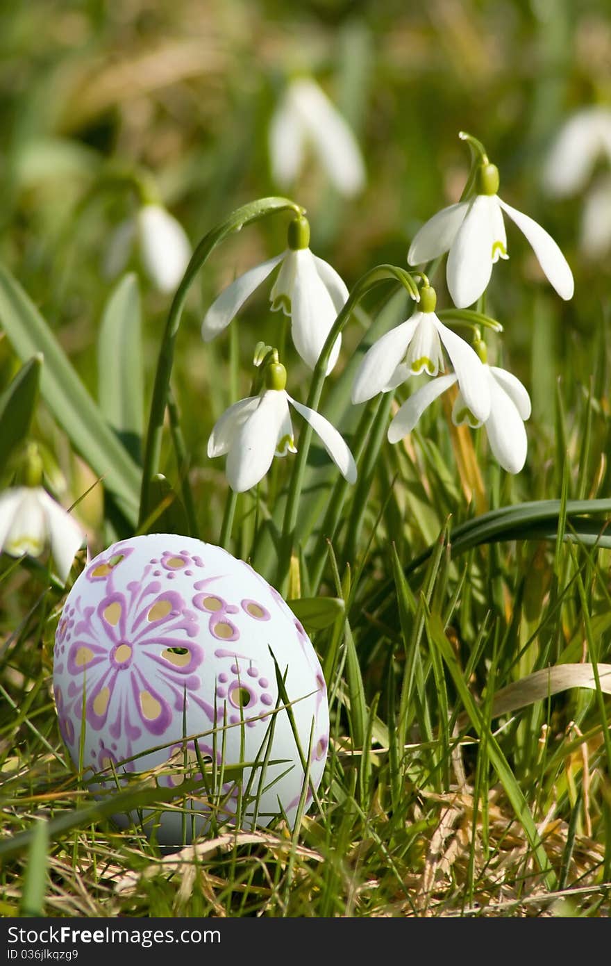 Egg In The Grass