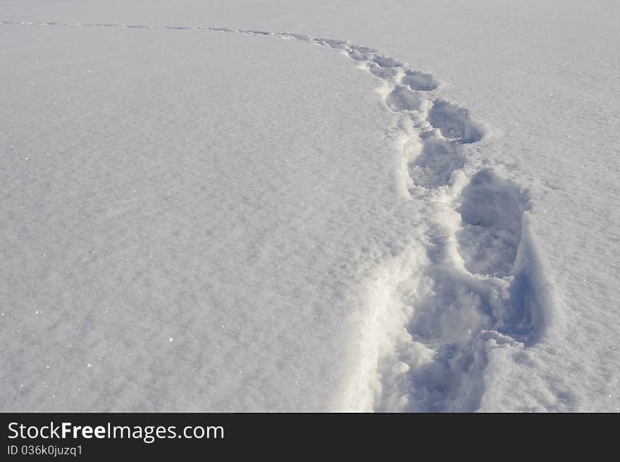 Footprints of snowshoes at fresh snow in winter landscape to lonesome cottage in upper bavaria, germany. Footprints of snowshoes at fresh snow in winter landscape to lonesome cottage in upper bavaria, germany