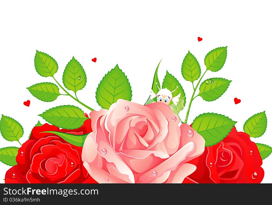 Roses beauty back, illustration. Roses beauty back, illustration