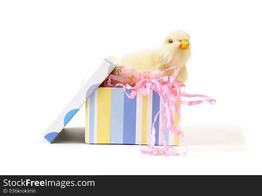 A baby chick is in a colorful gift box. A baby chick is in a colorful gift box.