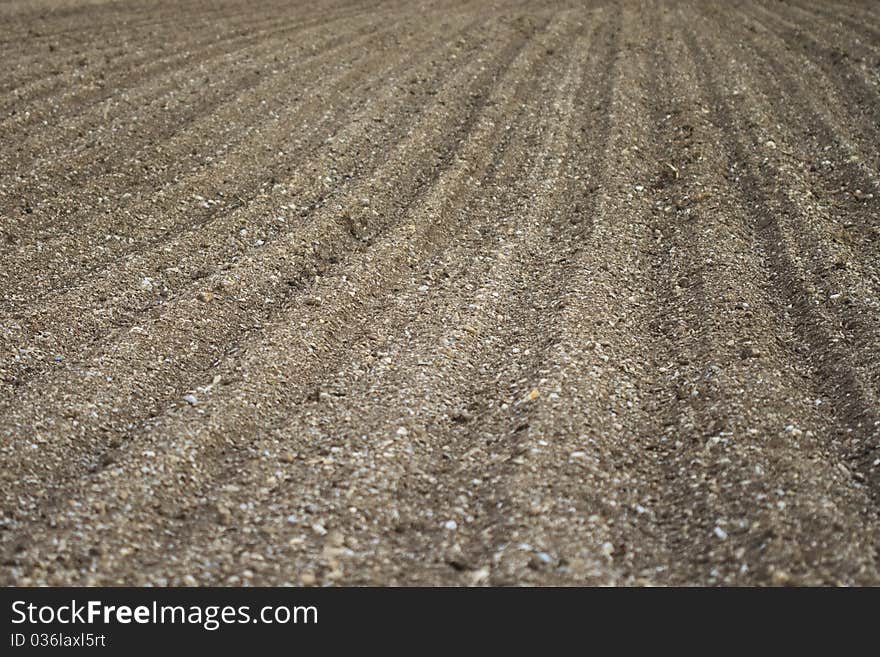 Field in spring with furrows for seed. Field in spring with furrows for seed