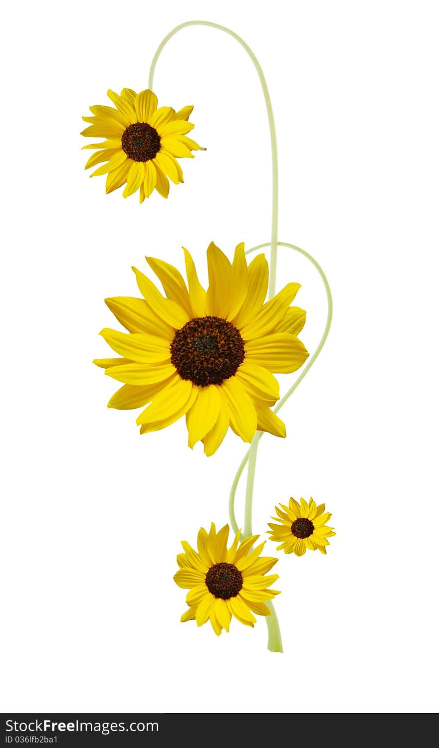 A designed sunflower flower symbolic