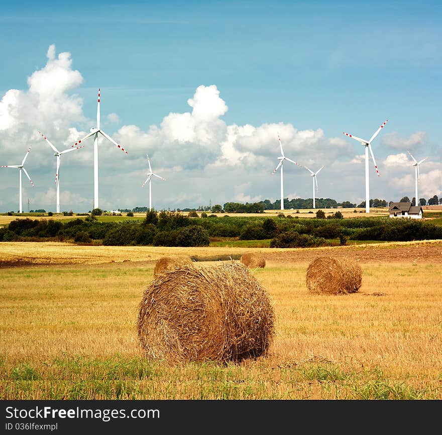 Wind turbine and golden field