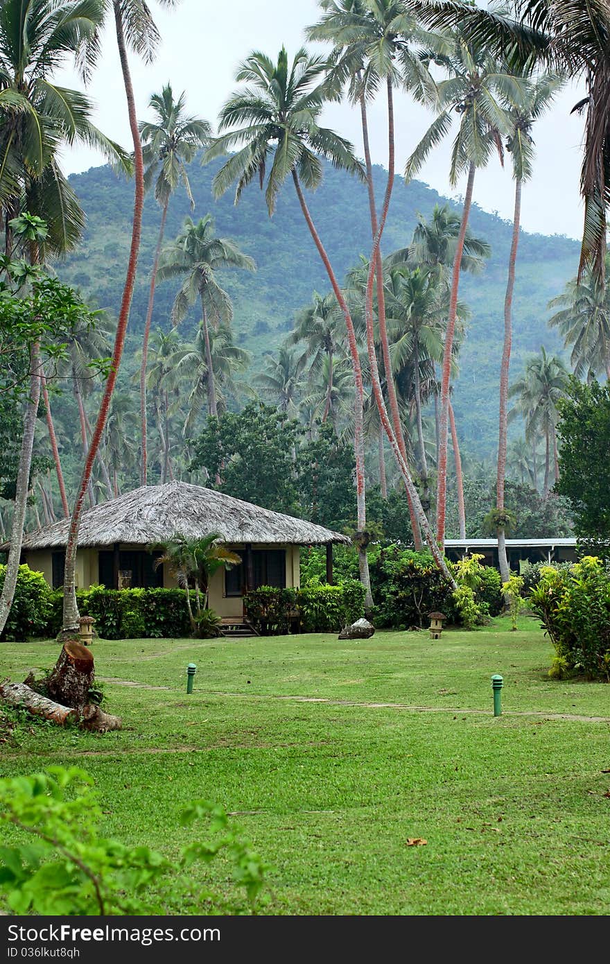 Palm trees surrounding a tropical resort in Fidji. Palm trees surrounding a tropical resort in Fidji