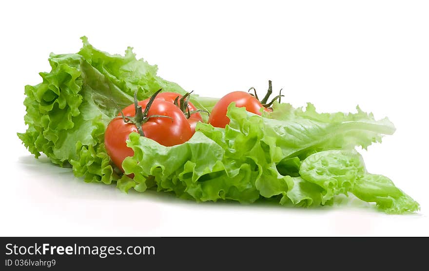 Tomatoes and lettuce on the white background