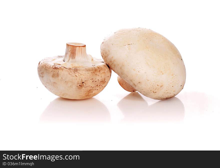 Champignon isolated over white background. Champignon isolated over white background.