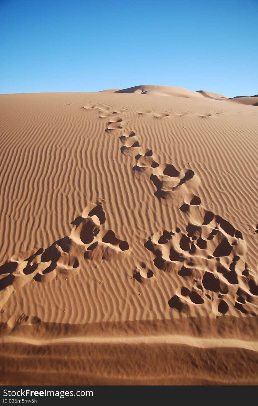 Footsteps in the sand mark the way into another life