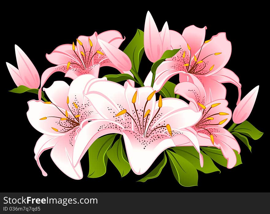 Black background with beautiful pink flowers.