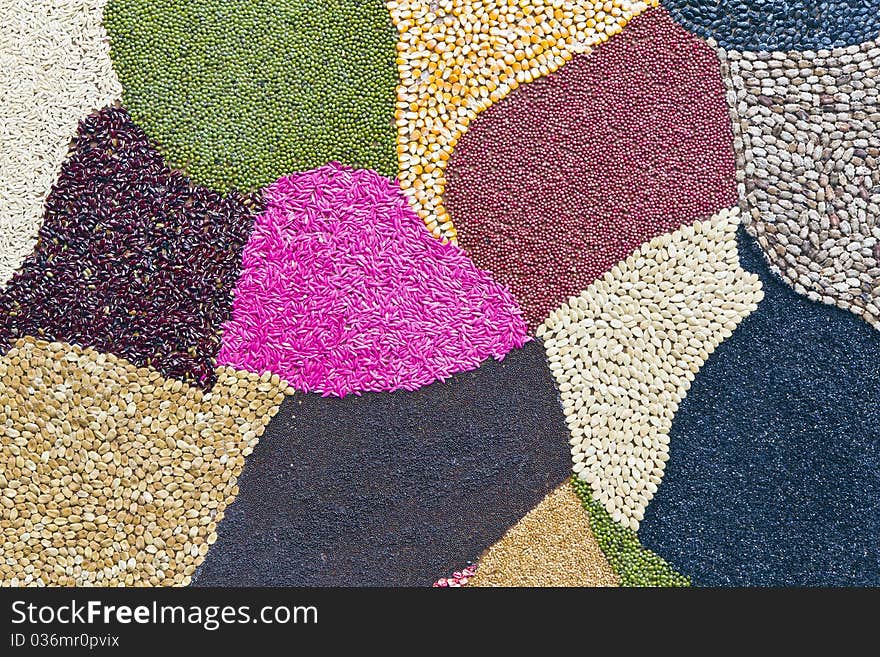 Plant various colour source seeds pretend background. Plant various colour source seeds pretend background