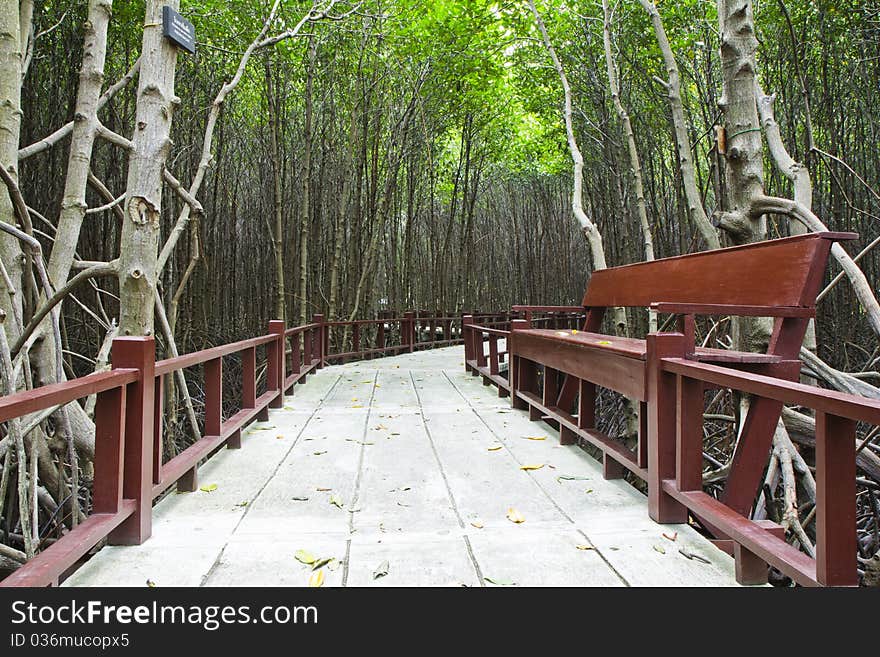 The residence on the footpath in mangrove forest ,