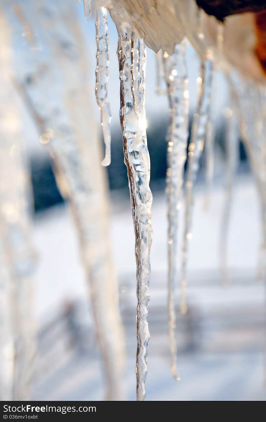 Icicles closeup macro photography on a sunny winter day