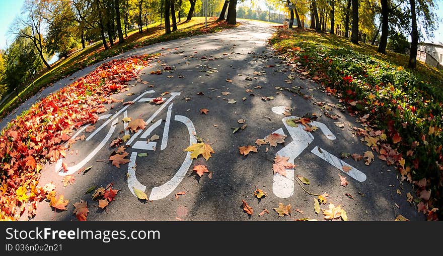 Signs On Track.