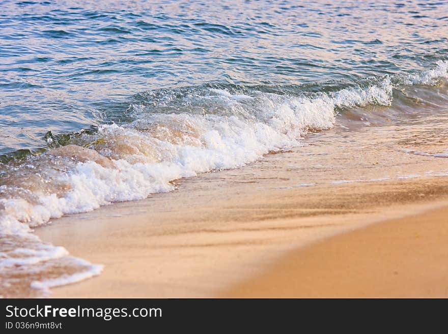 Blue  water ashore sea