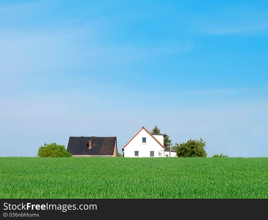 Green field