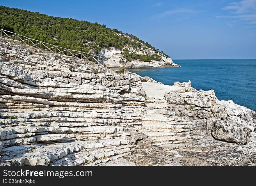 Viewpoint on the rocky shore