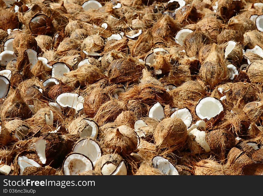 Old coconuts cut in half as offerings to the deities at a Thaipusam celebration