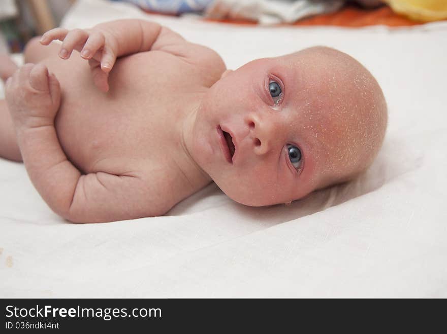 Newborn Baby  Boy - Inquiring Look