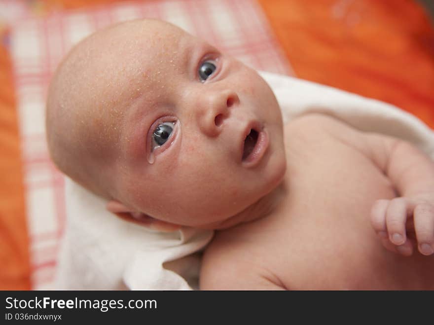 Newborn baby  boy - amazed look