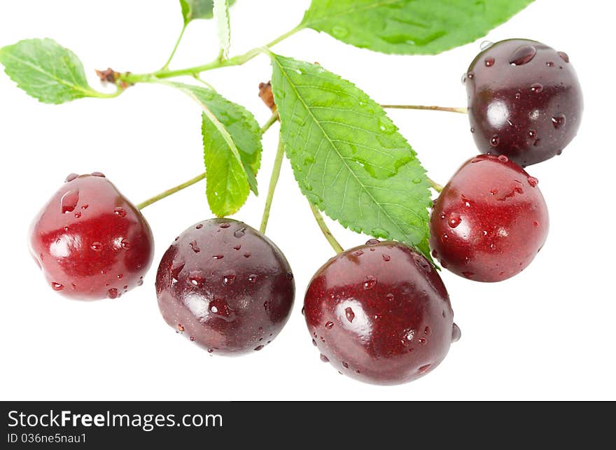 Ripe cherries with leaves, isolated on white