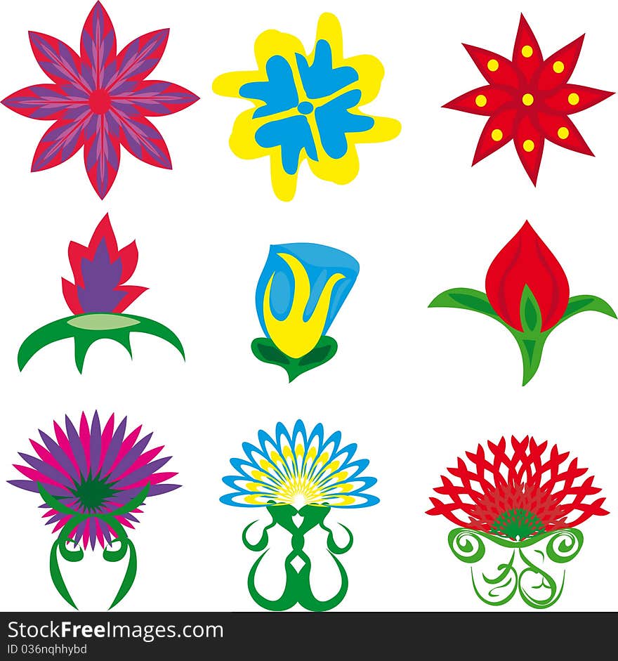 Set of some flowers. Illustration. Set of some flowers. Illustration