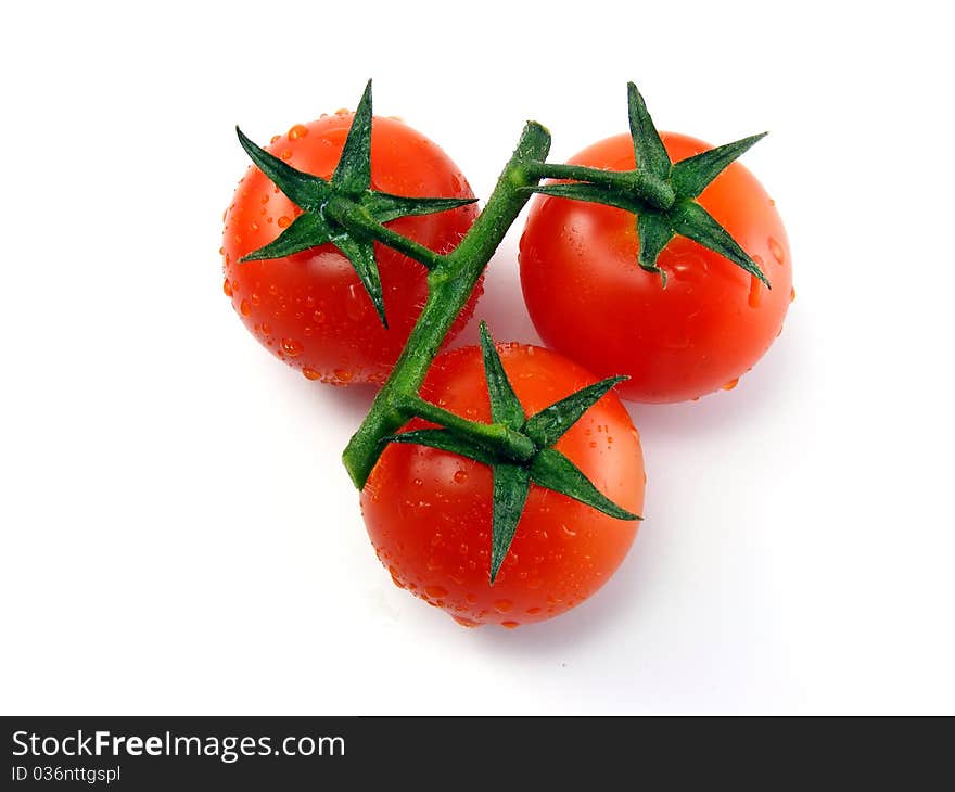 Tomatoes on white background