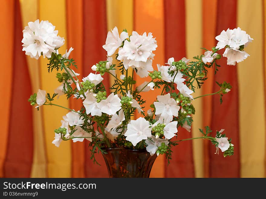 Bunch of coloured flowers on coloured background