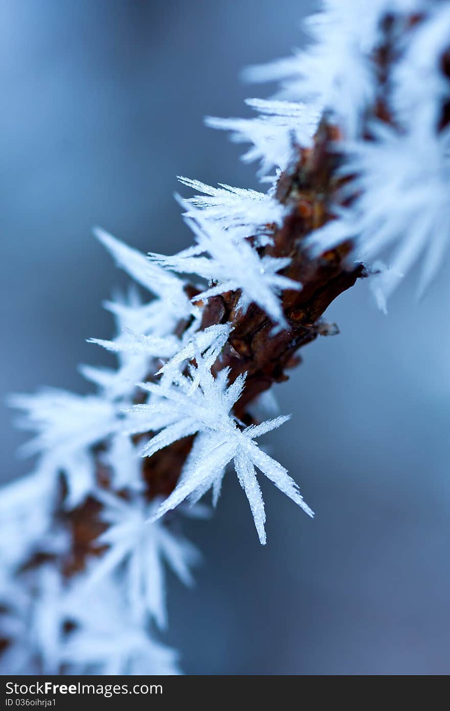 Ice crystals on a very cold winter day