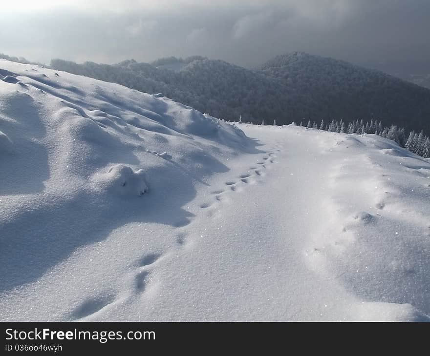 Path On  Hillside.