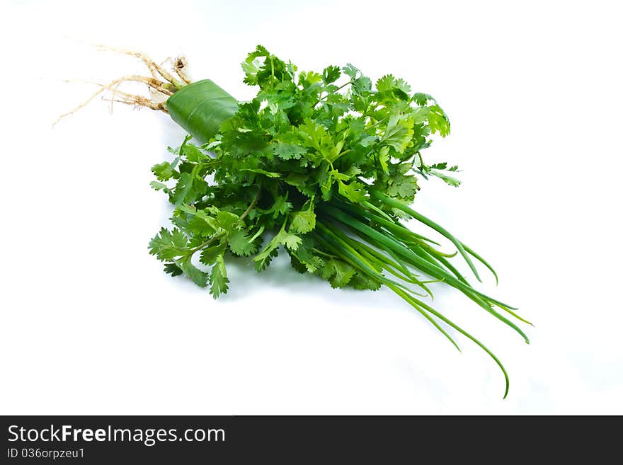 Coriander and green shallot