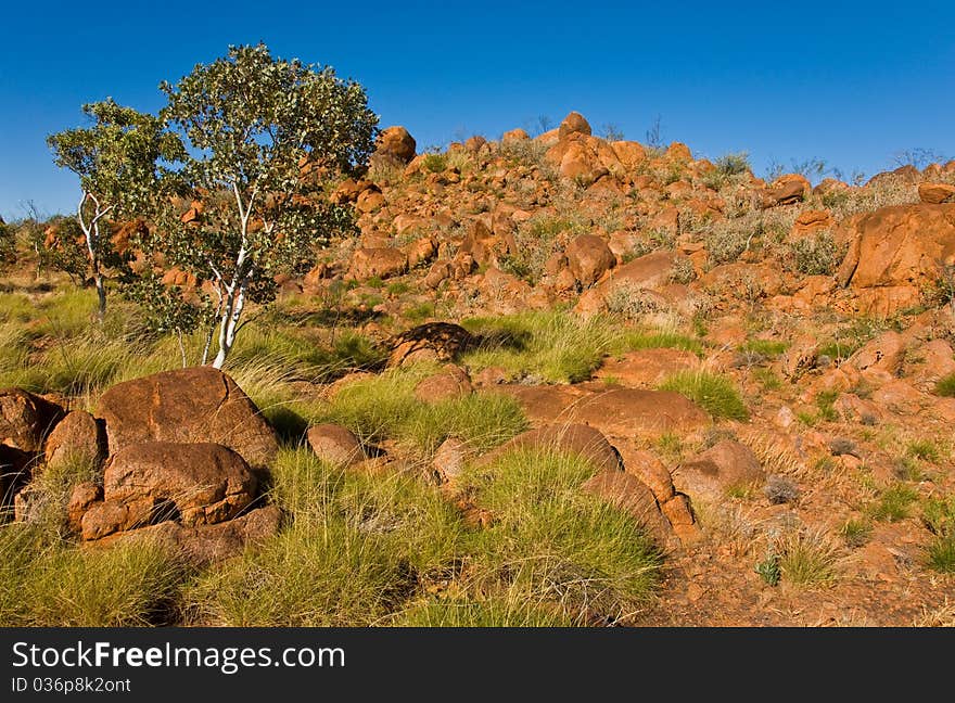 Landscape in the australian outback, northern territory. Landscape in the australian outback, northern territory