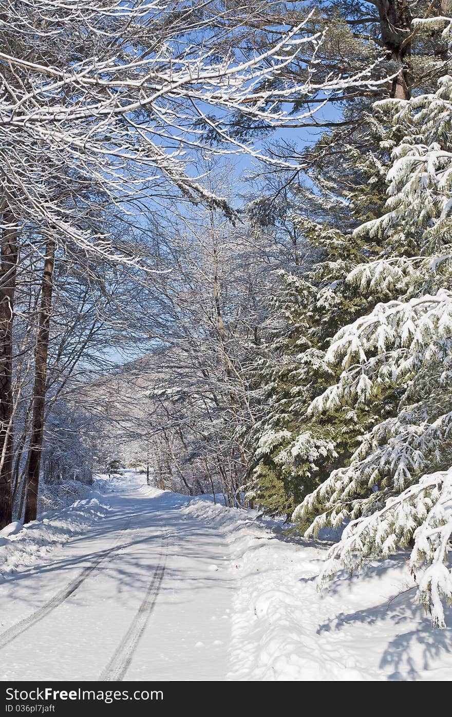 This road had a single tire marks and was very tranquil and serene. This road had a single tire marks and was very tranquil and serene.