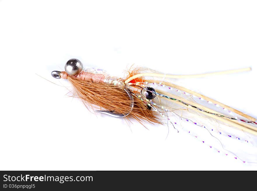 Shrimp pattern bead head salt water fly isolated on a white background. Shrimp pattern bead head salt water fly isolated on a white background