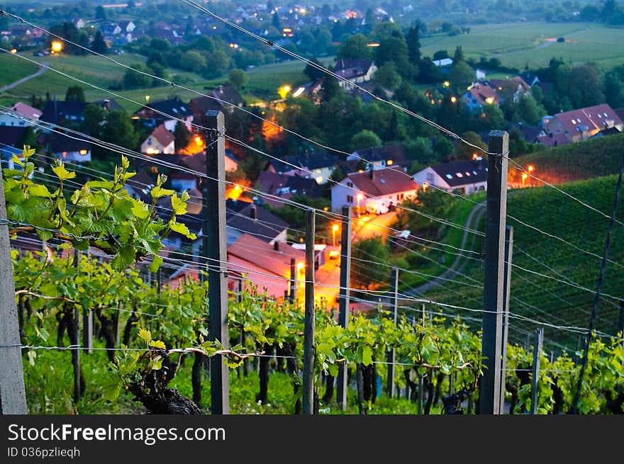 Beautiful vineyard in the twilight and nice town in the background