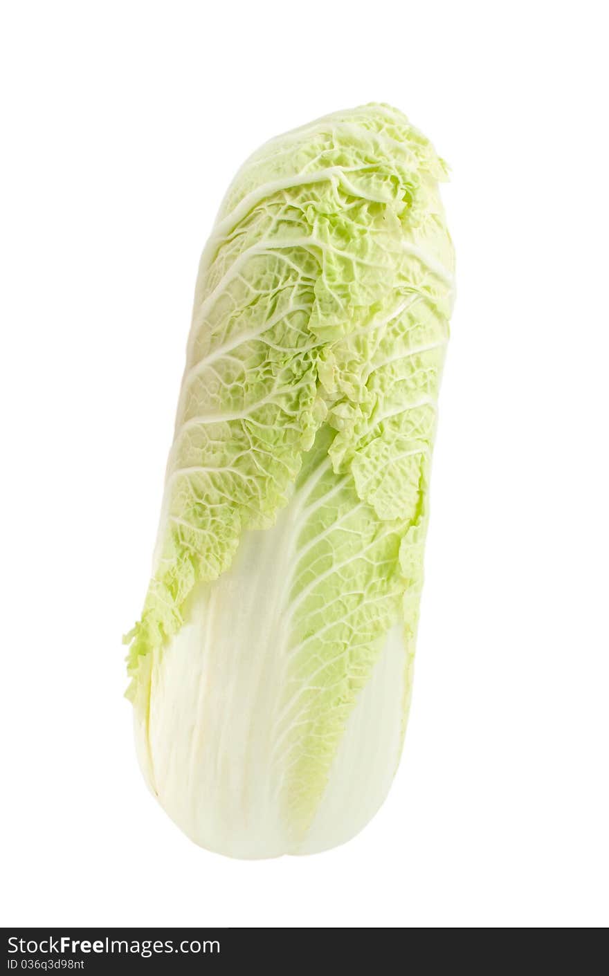 Cabbage