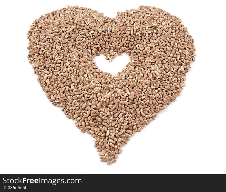 Heart of the wheat grain