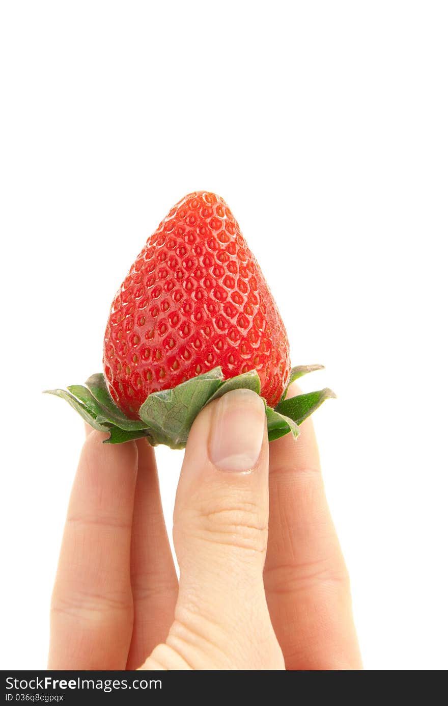 Strawberry in hand. Female hand holding one red ripe fresh organic strawberry over white background