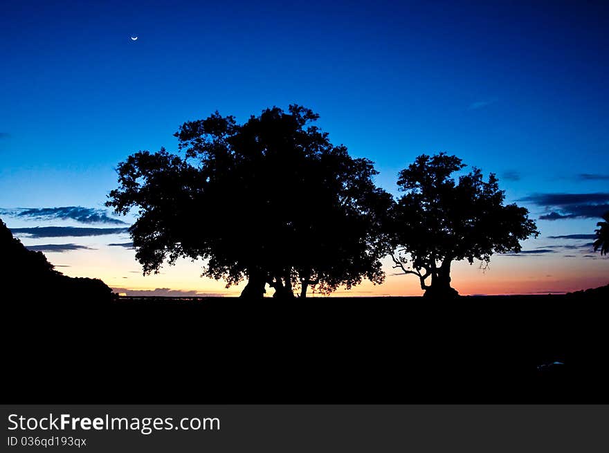 Natural beauty. Depending on what you see. Natural beauty. Depending on what you see.