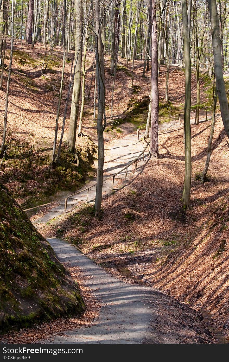 Wooden Stairs On A Hill