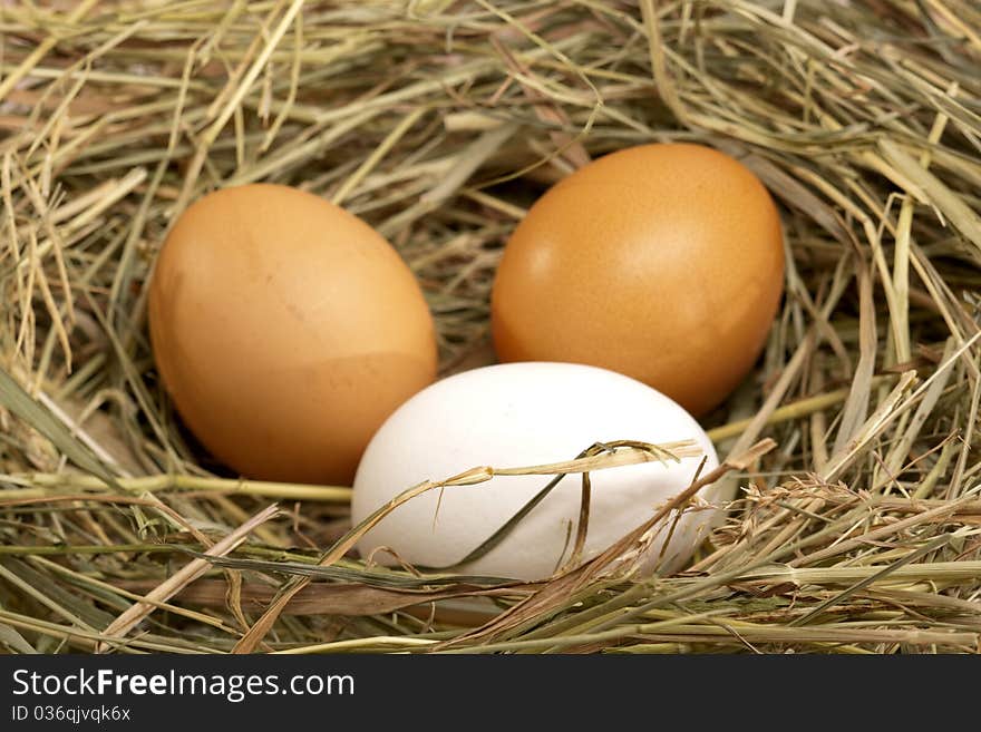 Three chicken eggs