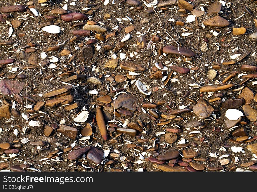 Stones and shells background