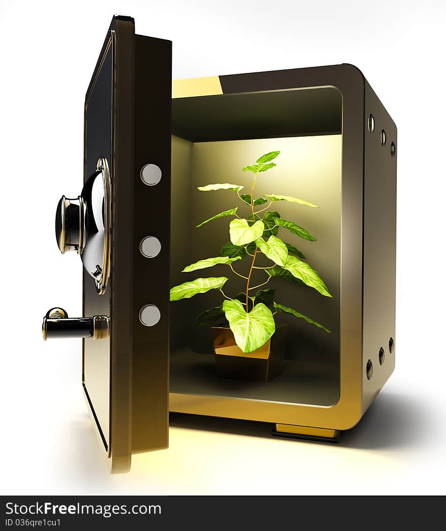 Opened golden safe with Flower in a pot isolated on white 3D render