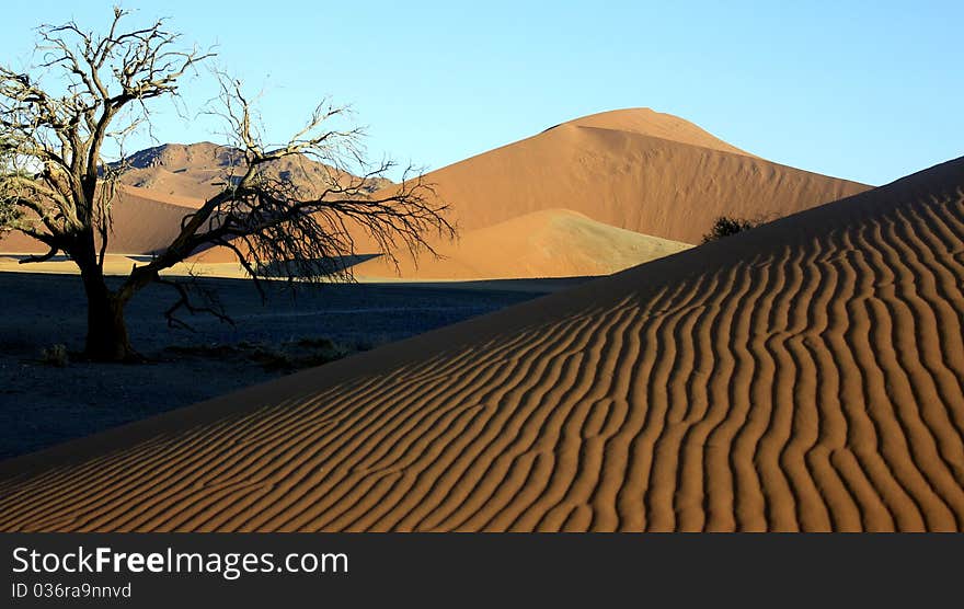 Dunes in Sossusvlei, Namibie with amazing colours showing as sun is settong.