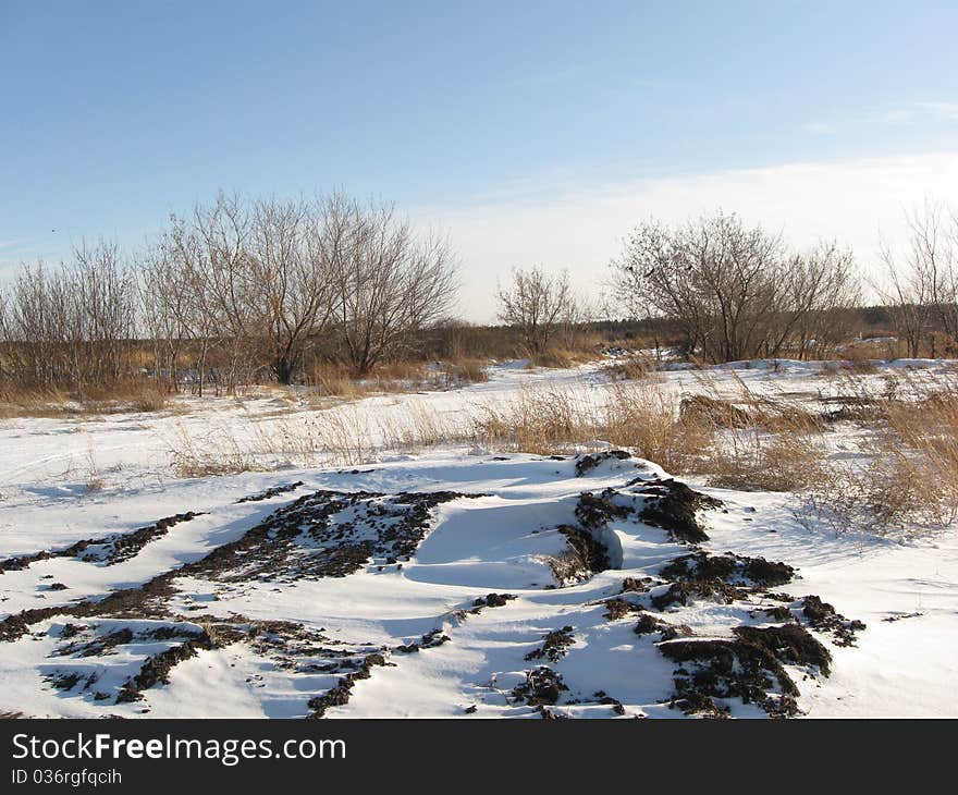 Winter landscape with meadow and trees without leaves . Winter landscape with meadow and trees without leaves .