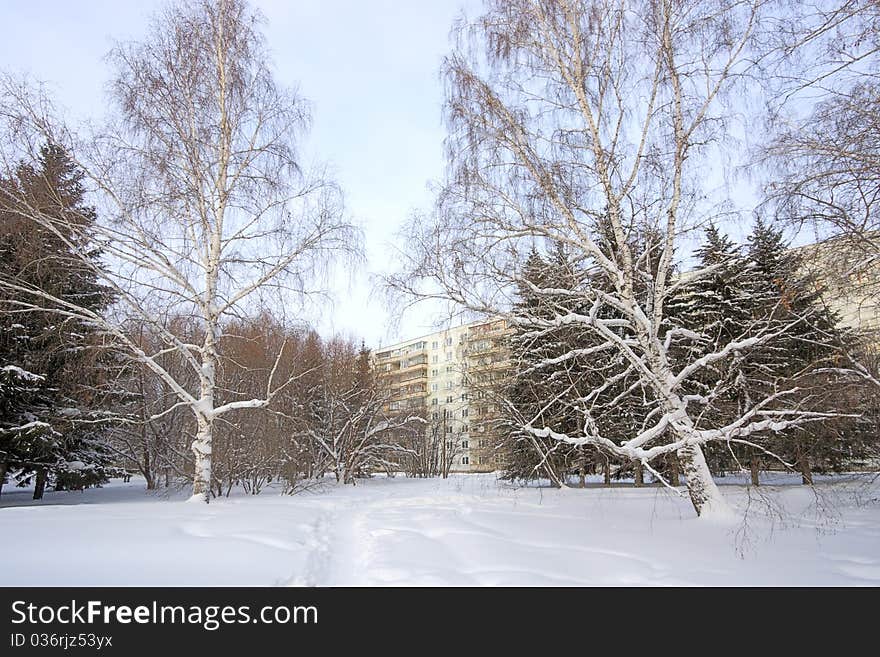 Winter  Landscape