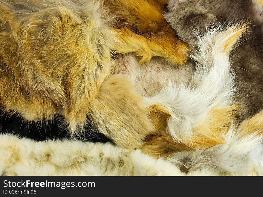 Fur of different animals