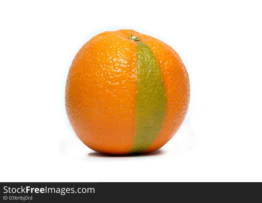 Orange mixed with lime or lemon isolated on white background. Orange mixed with lime or lemon isolated on white background