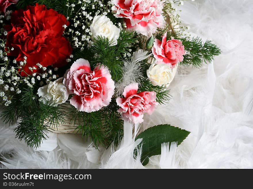 Red, pink and white flowers