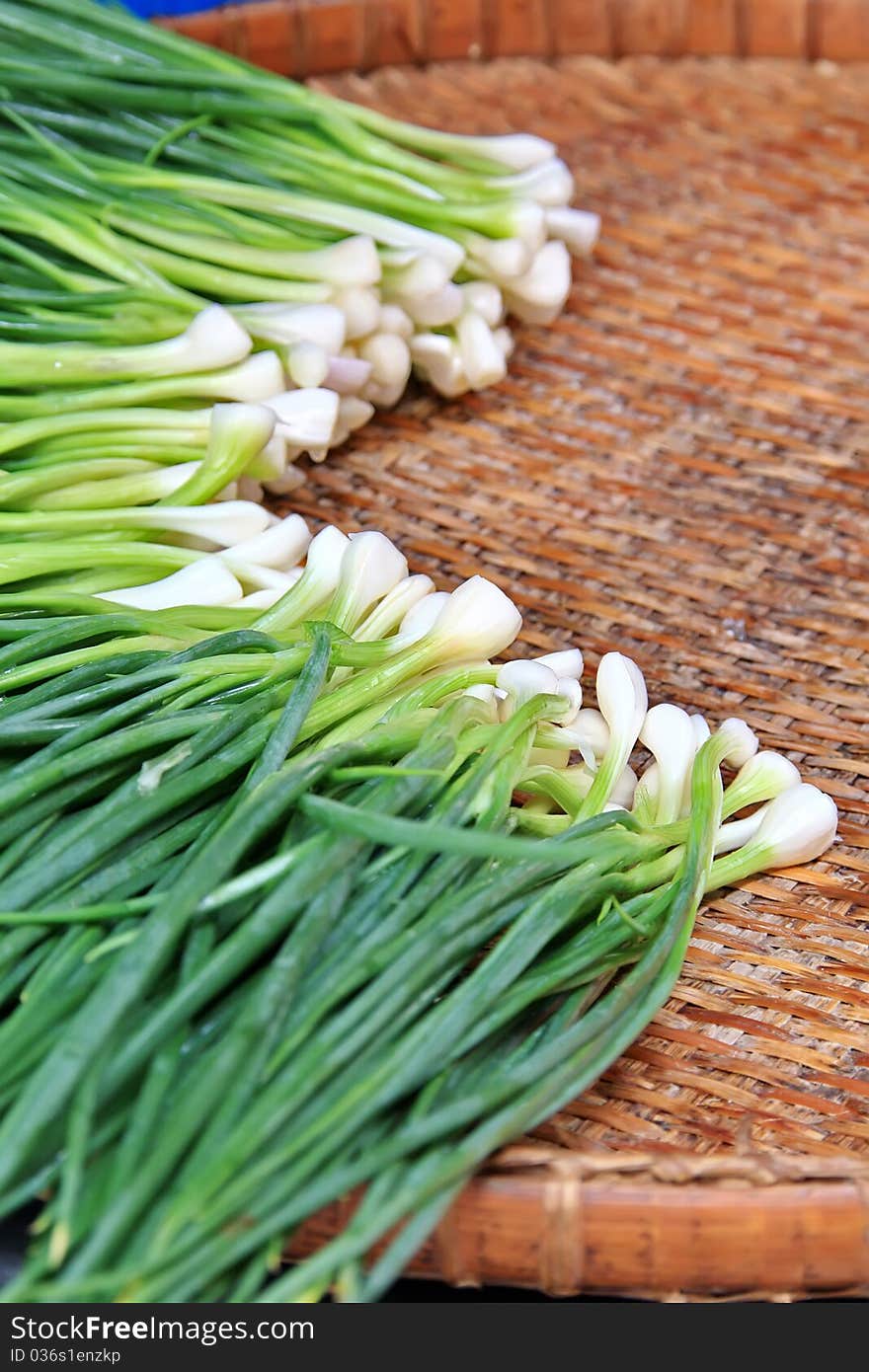 Vegetable Preparation