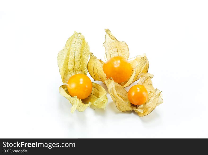 Physalis fruit isolated on white